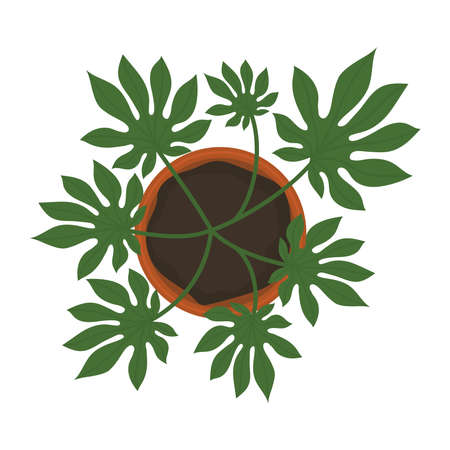 webbed plant designのイラスト素材