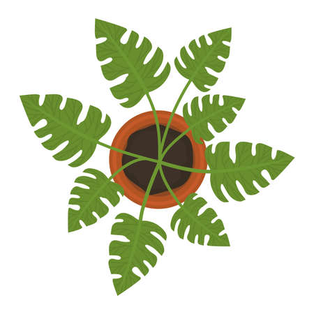 monstera plant designのイラスト素材