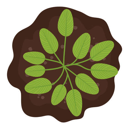 jagged plant designのイラスト素材