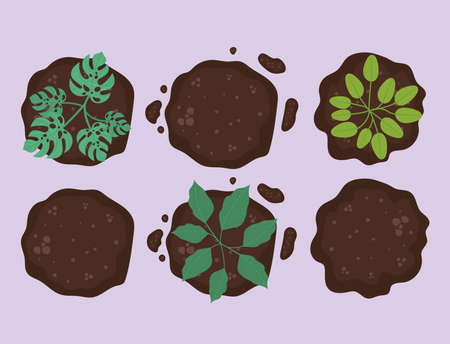 six plants on earthのイラスト素材