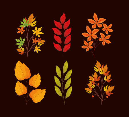 six autumn leavesのイラスト素材