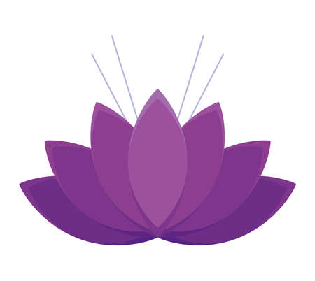 purple lotus designのイラスト素材