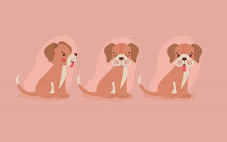 three pretty puppiesのイラスト素材