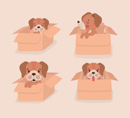 boxes with puppiesのイラスト素材
