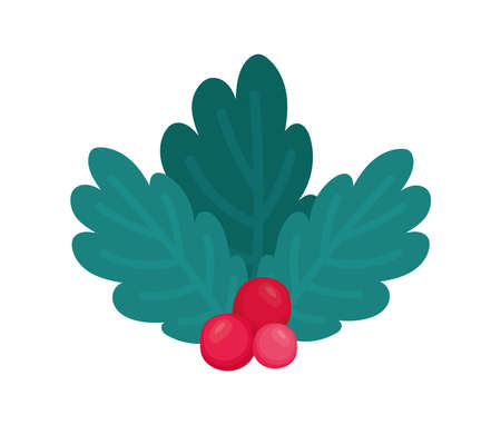holiday mistletoe designのイラスト素材