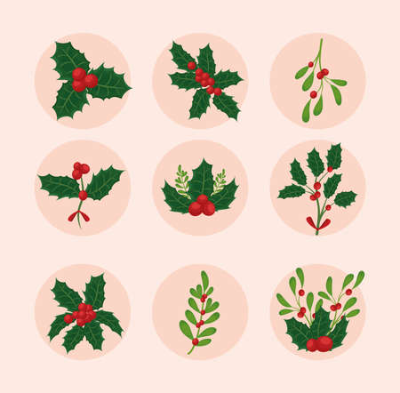 nine mistletoe branchesのイラスト素材