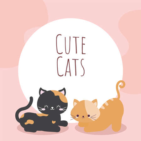 cute cats cardのイラスト素材