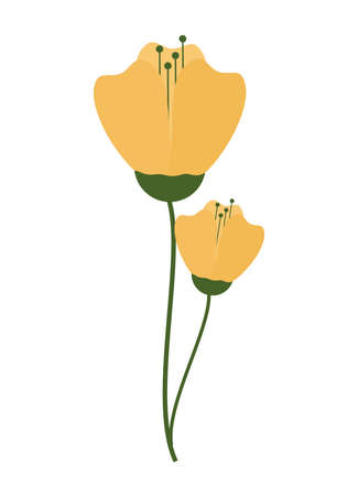 yellow flowers illustrationのイラスト素材