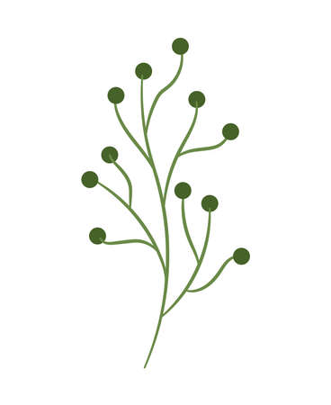 green berries plantのイラスト素材