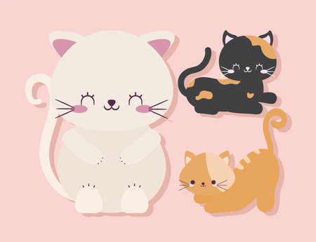 three cute cats