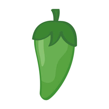 green chili pepperのイラスト素材