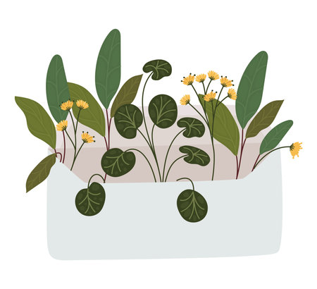 envelope witn plantsのイラスト素材