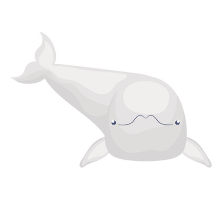 colored beluga iconのイラスト素材