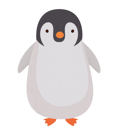 colored penguin designのイラスト素材