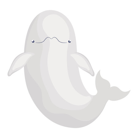 big beluga designのイラスト素材