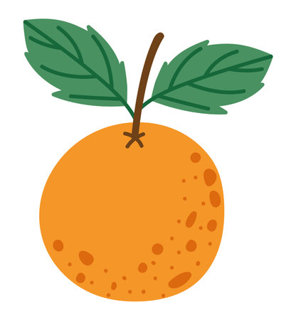 orange fruit designのイラスト素材