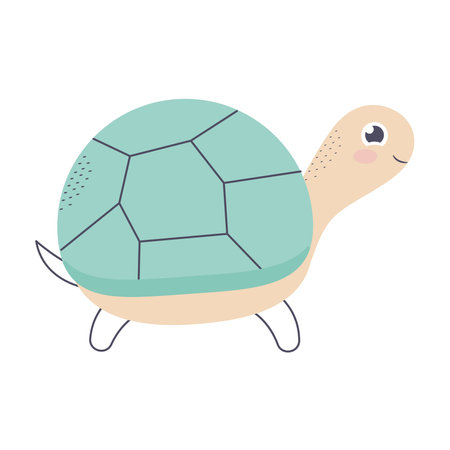 green turtle illustrationのイラスト素材