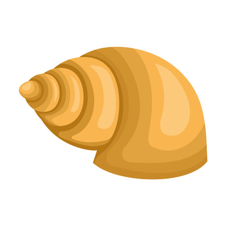 golden seashell designのイラスト素材