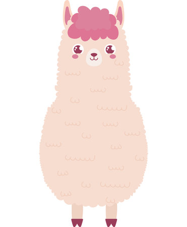 sweet beautiful llamaのイラスト素材