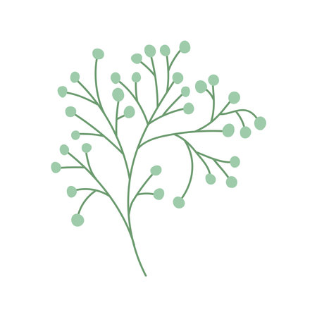 plant branch illustrationのイラスト素材