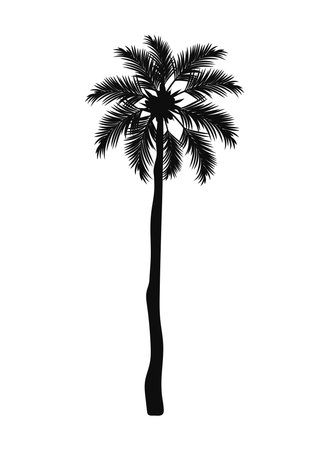 palm silhouette designのイラスト素材