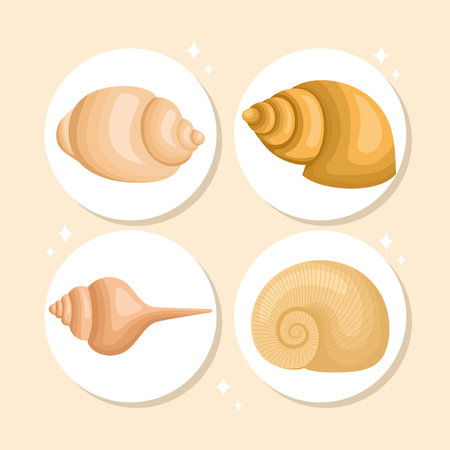 four engraved seashellのイラスト素材