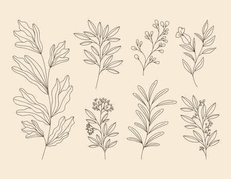 seven plants flowersのイラスト素材