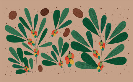 coffee trees and beans