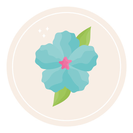 flower highlight designのイラスト素材