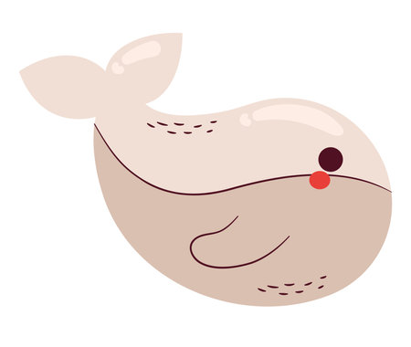 cute whale designのイラスト素材