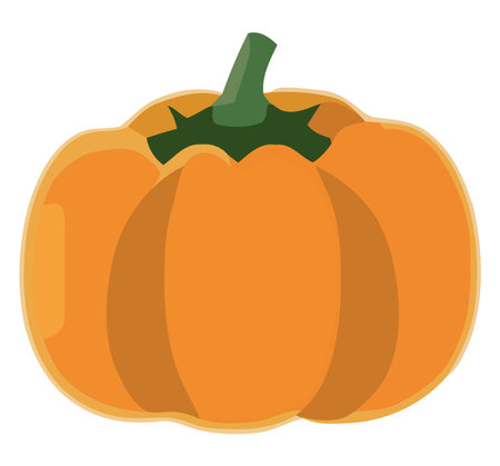 Autumn harvest pumpkinのイラスト素材