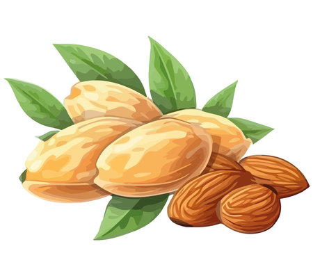 Nature seeds design with leavesのイラスト素材