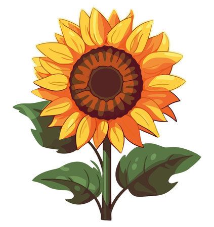 Yellow sunflower blossom designのイラスト素材