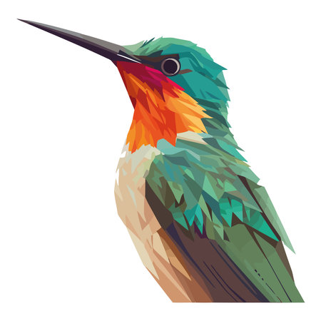Hummingbird perching on branchのイラスト素材