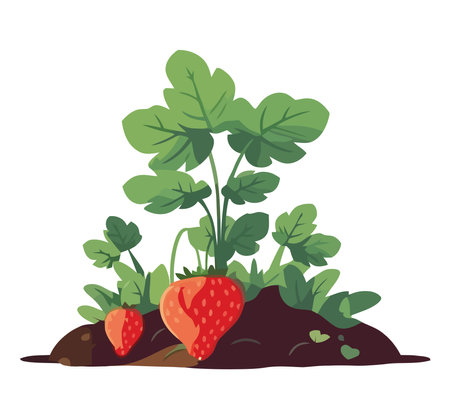 Juicy strawberry plantのイラスト素材