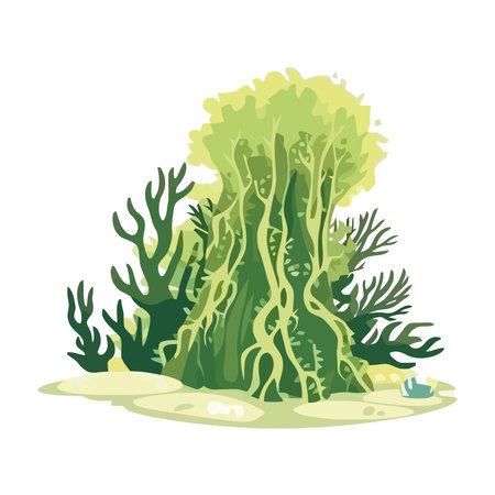nature seaweed illustrationのイラスト素材
