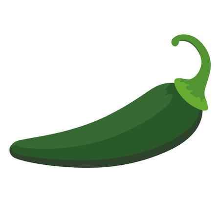 green chili, pepper, for cookingのイラスト素材
