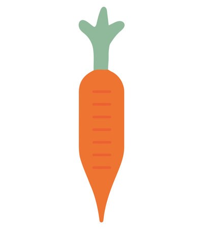Fresh organic carrotのイラスト素材
