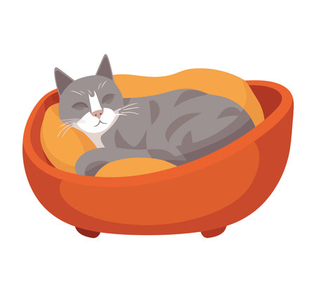 fluffy kitten relaxのイラスト素材