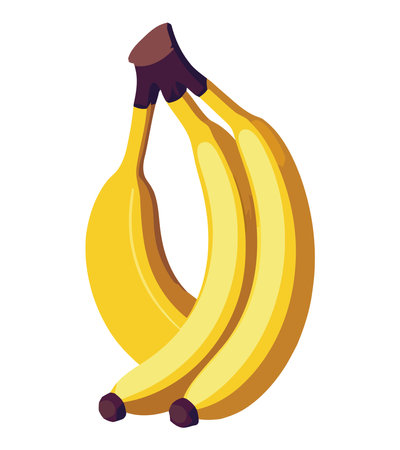Healthy ripe bananas illustrationのイラスト素材