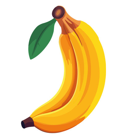 Yellow banana designのイラスト素材