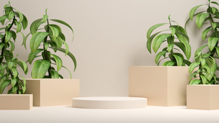 3D illustration rendering image of empty space mockup podium geometry shape for product display