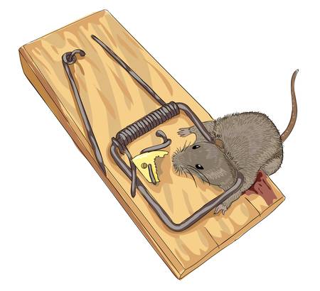 Mouse in a mousetrap. のイラスト素材