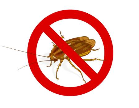 Stop Cockroach sign. Vector illustration.のイラスト素材