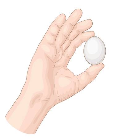 Hand with egg illustration のイラスト素材