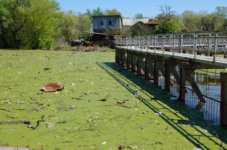 Garbage in the riverのeditorial素材