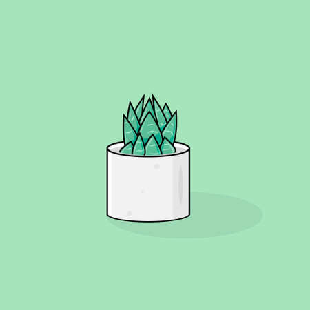 green plant in the pot vector illustration Sansevieria plant .echeveria plantのイラスト素材