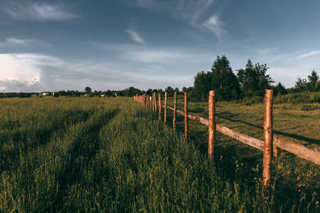 Wooden fence on nice green meadowの写真素材