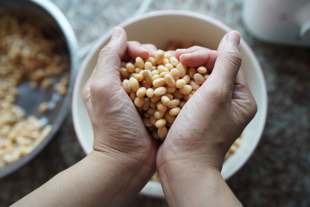 Soybean in hand heart before make soy milk.