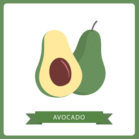 Avocado whole and sliced vector illustration isolated on white background.のイラスト素材